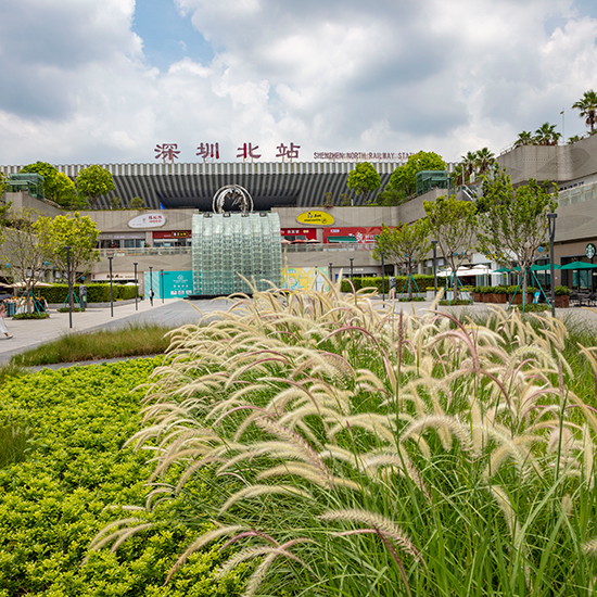 匯隆商務(wù)中心深圳北站東廣場首層園林景觀改造